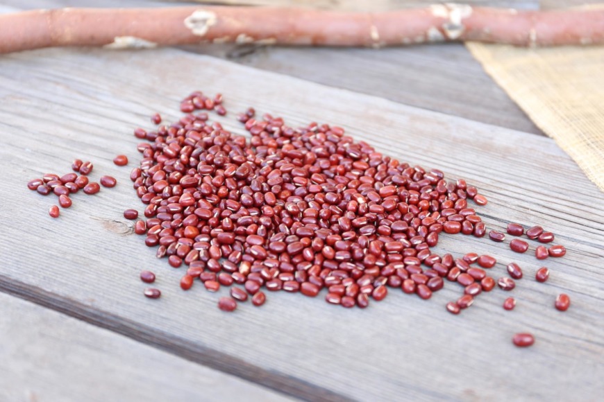 北海道産の小豆