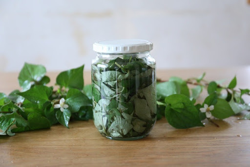 どくだみチンキの作り方