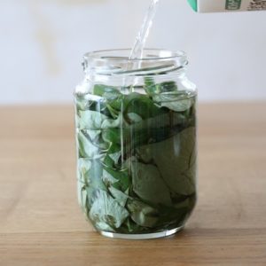 どくだみチンキの作り方３