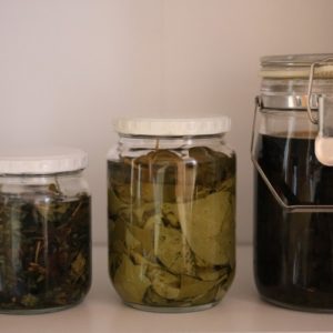 どくだみチンキの作り方４