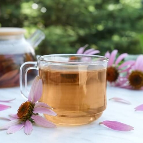 透明のカップに入ったエキナセアハーブティーとエキナセアの花