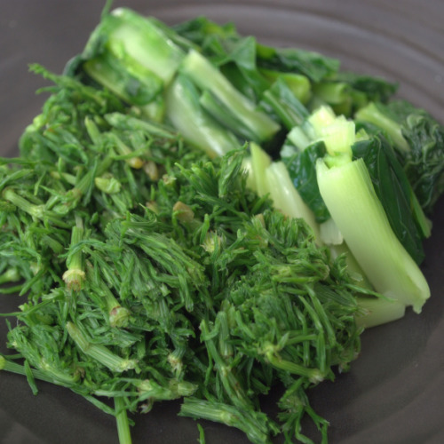 スギナと小松菜のおひたし