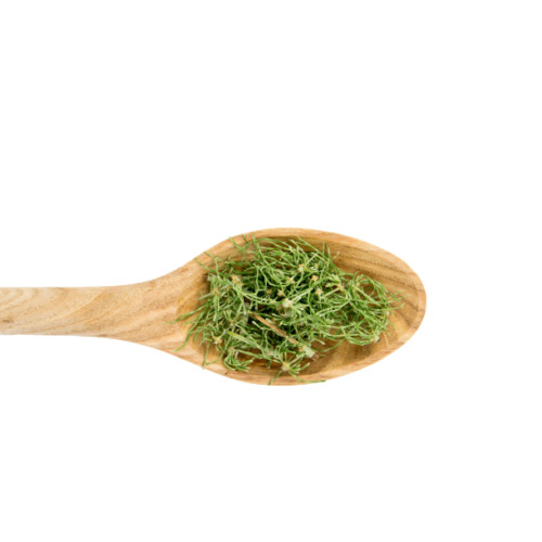 スプーンに乗ったスギナのふりかけ