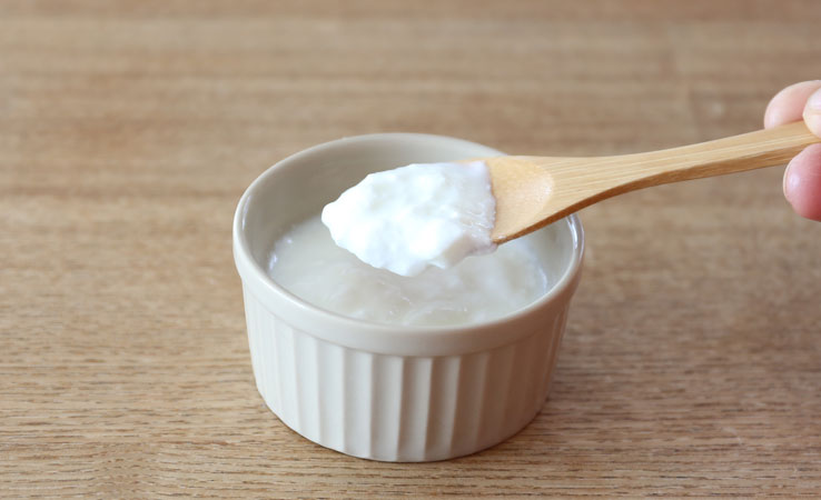 発酵食品4 ヨーグルト