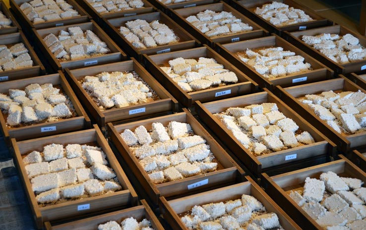 麹づくりワークショップ