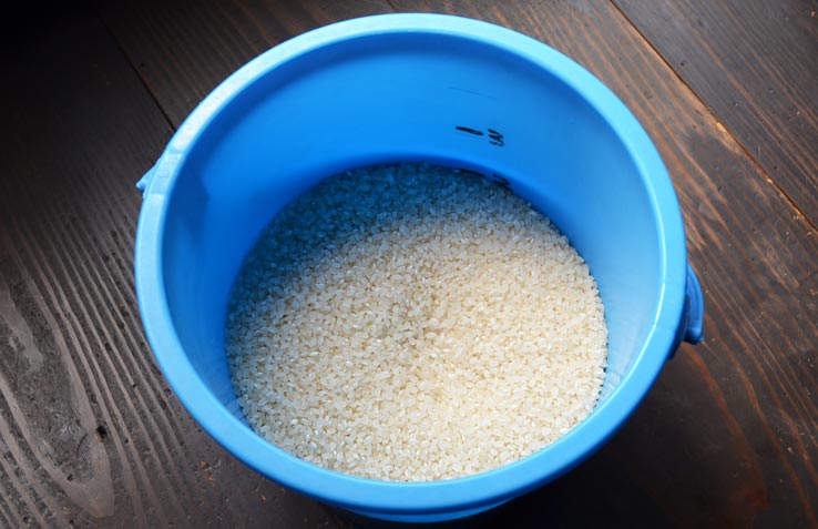 麹づくりワークショップ