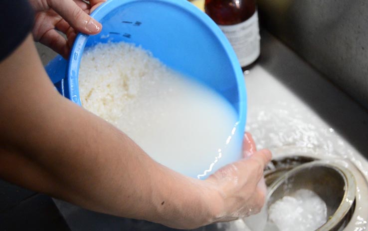 麹づくりワークショップ