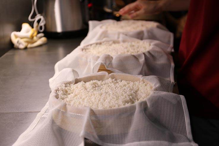 麹づくりワークショップ