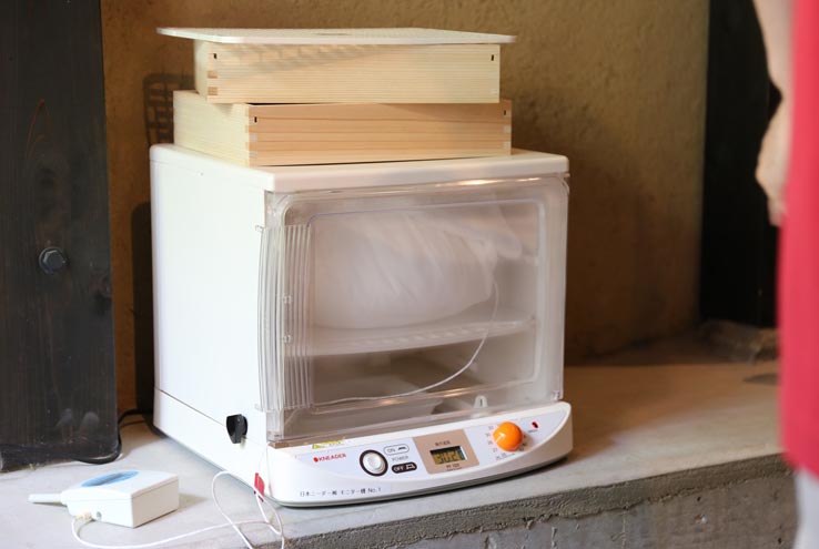 麹づくりワークショップ