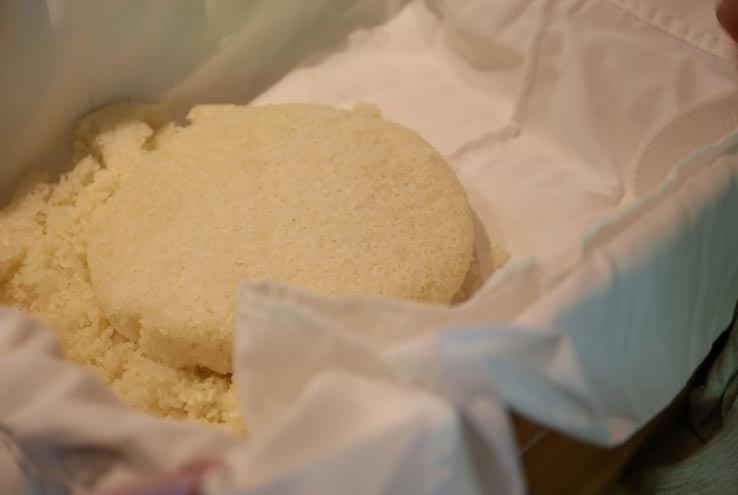 麹づくりワークショップ