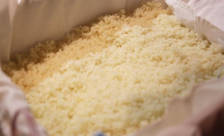 麹づくりワークショップ