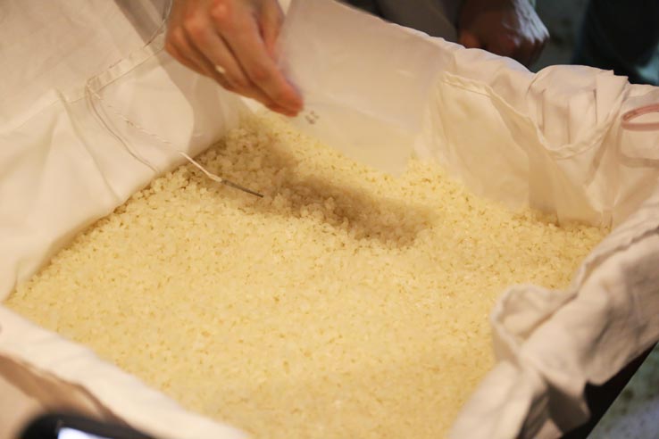 麹づくりワークショップ