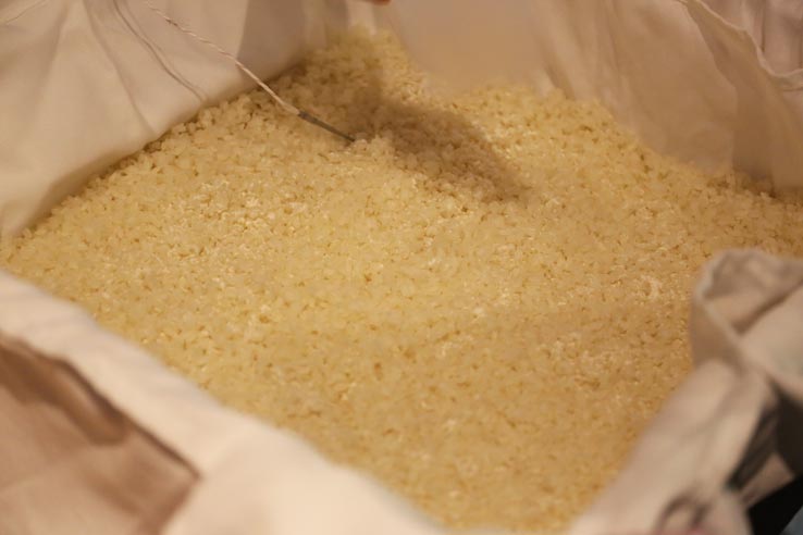 麹づくりワークショップ