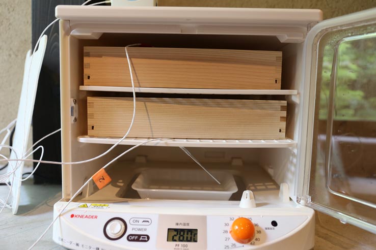 麹づくりワークショップ