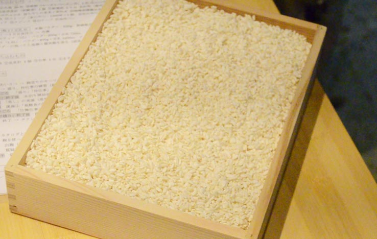 麹づくりワークショップ