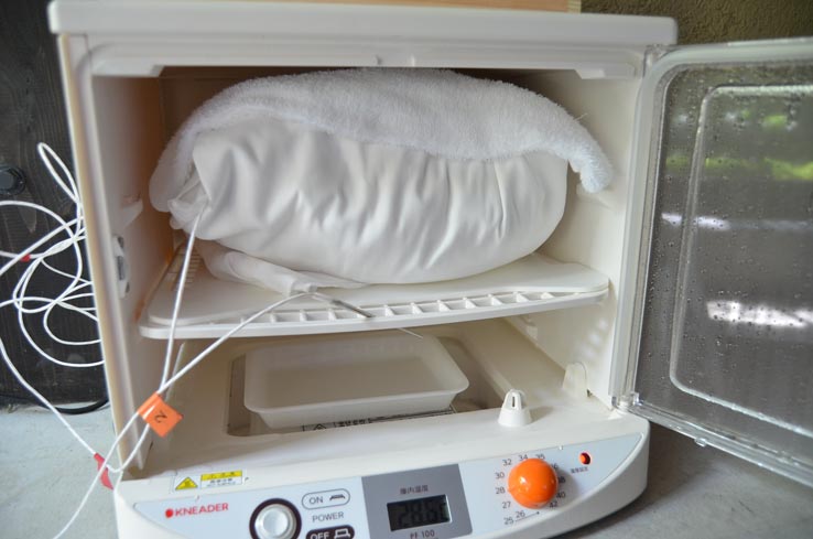 麹づくりワークショップ