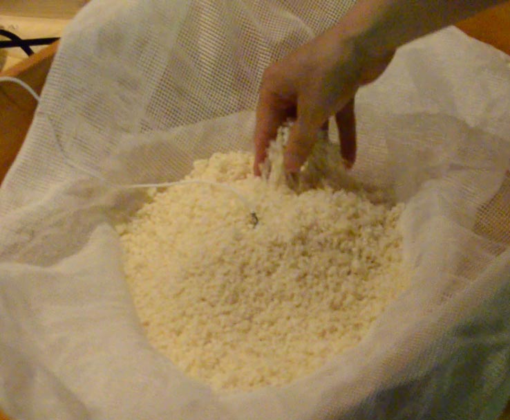 麹づくりワークショップ