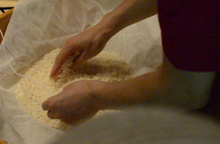 麹づくりワークショップ