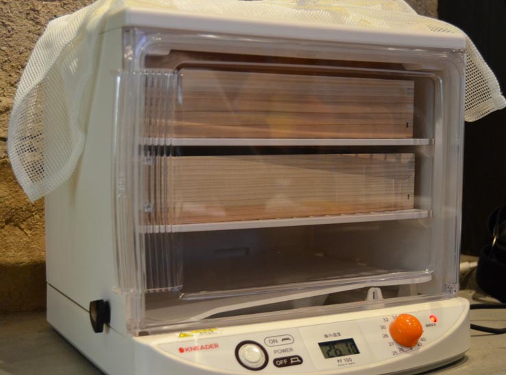 麹づくりワークショップ