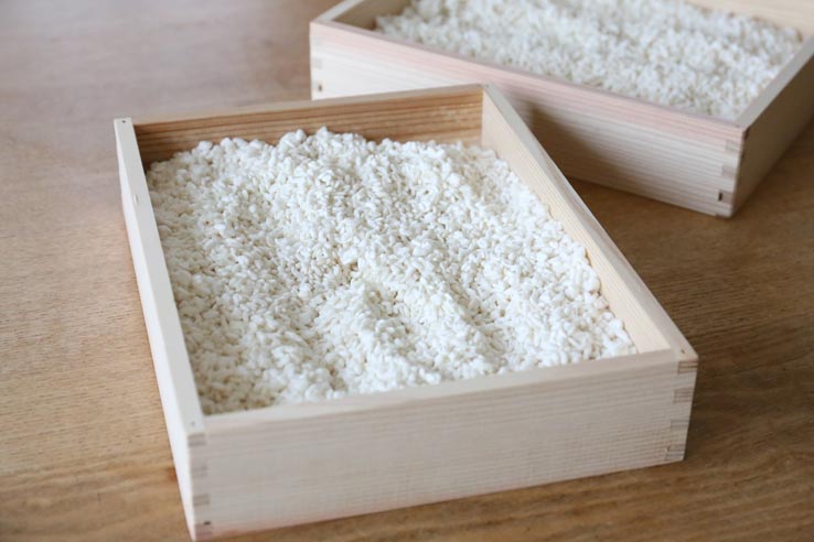 麹づくりワークショップ