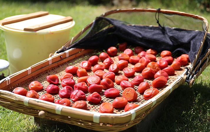 青梅を使ったレシピ