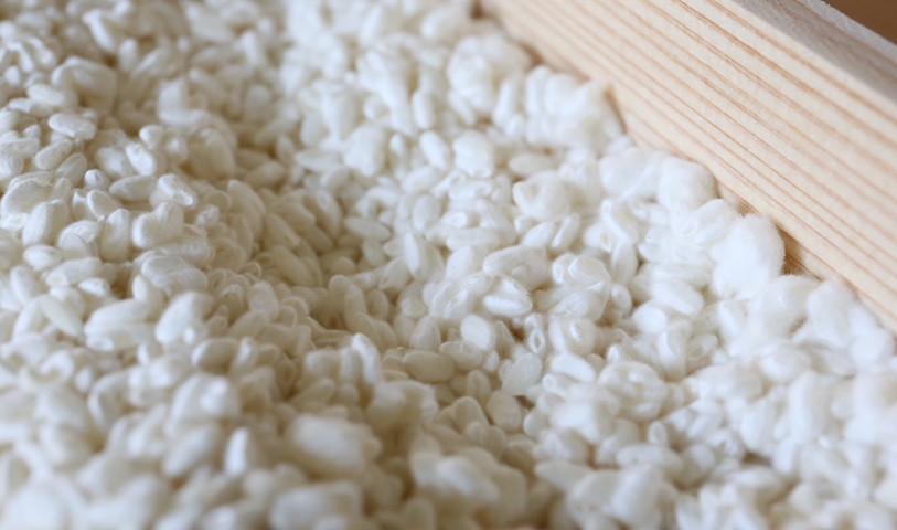 種麹から作る麹の作り方