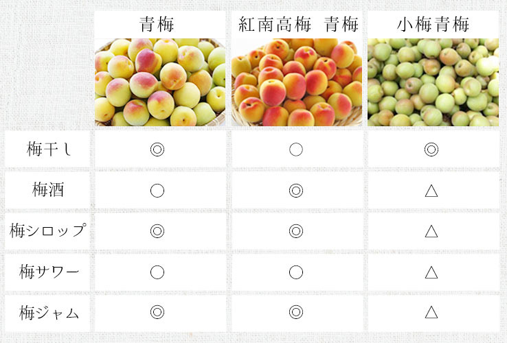 梅の種類別の用途