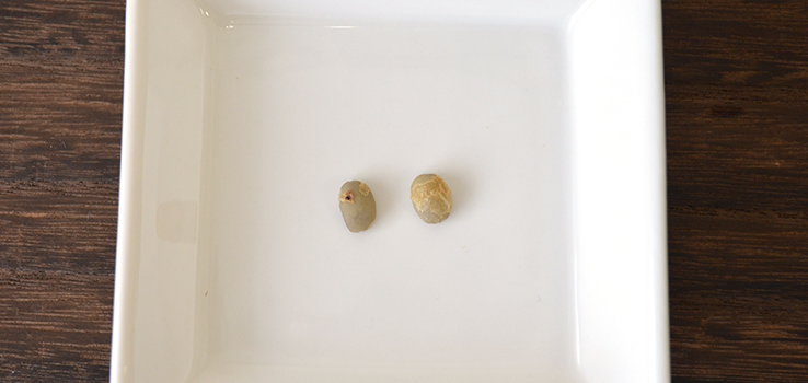 水分を含むとカビが浮き上がります