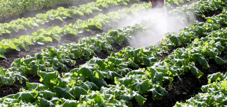 竹林さんが考えるコーヒー生豆の選び方とは