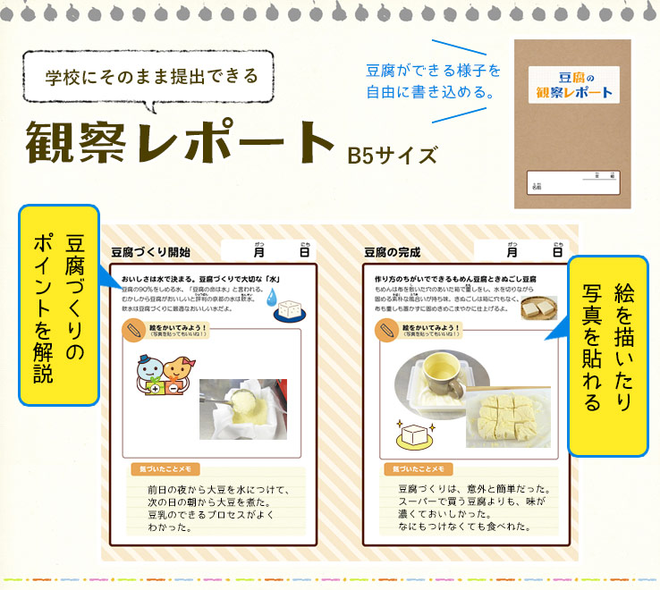 納豆観察レポート