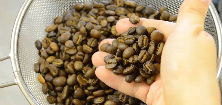 きれいに焙煎できています