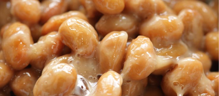 納豆手づくりキット