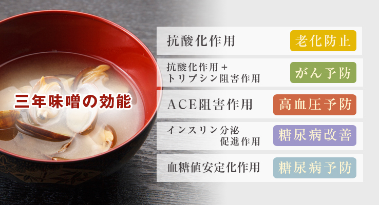 三年味噌の効能