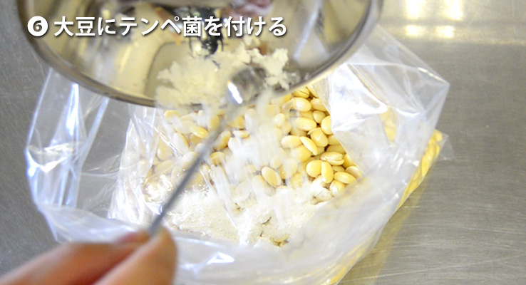 テンペ菌をつける