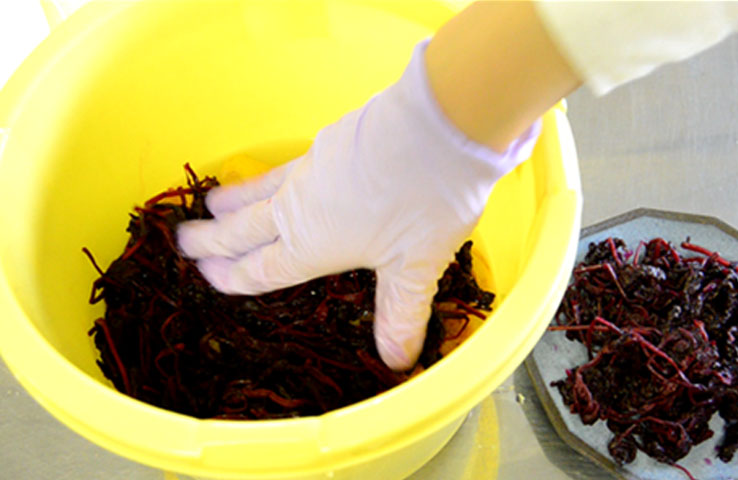 シンプルコード4