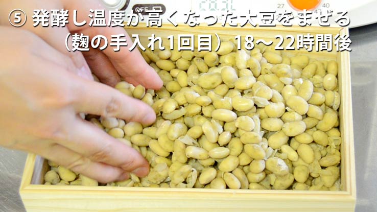 麹の手入れ1回目 