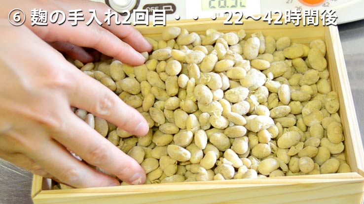 麹の手入れ2回目