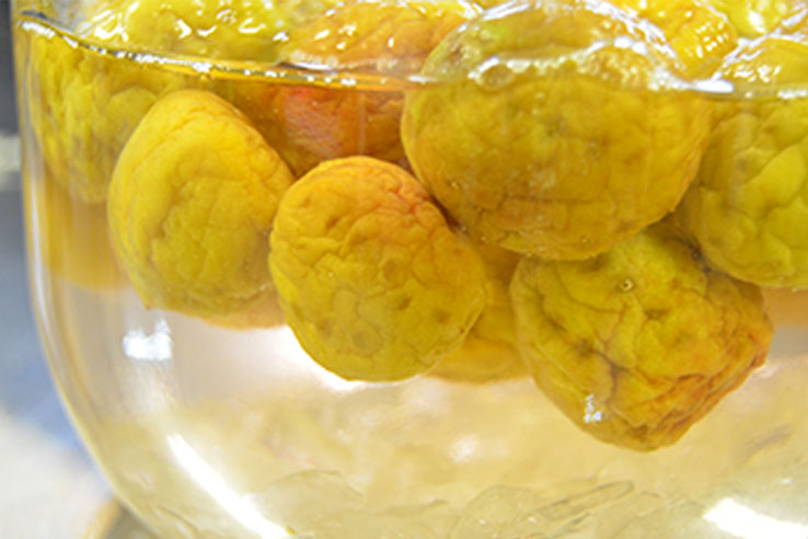 シンプルコード4