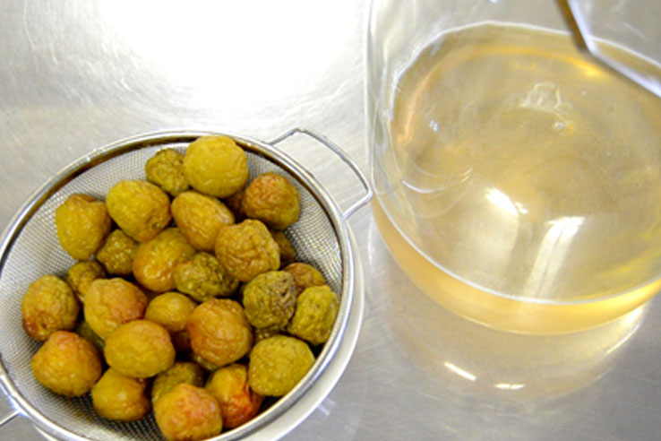 シンプルコード4