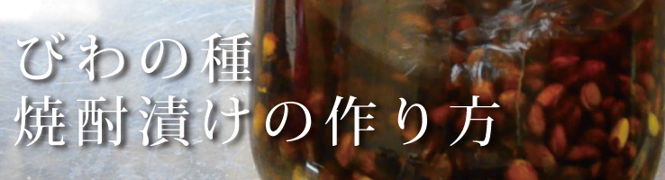 びわの種焼酎漬けの作り方