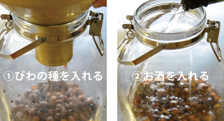 容器にびわの種を入れる・お酒を入れる