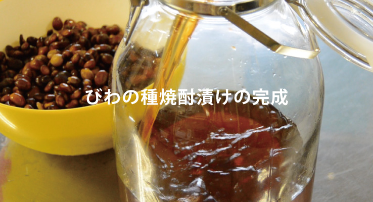 びわの種焼酎漬けの完成