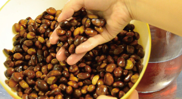 種も有効活用できる