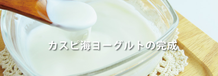 ヨーグルトメーカーで作るカスピ海ヨーグルトの完成