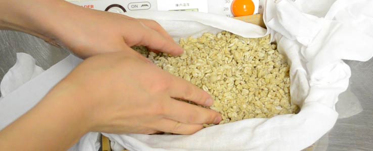 豆麹の完成（出麹）