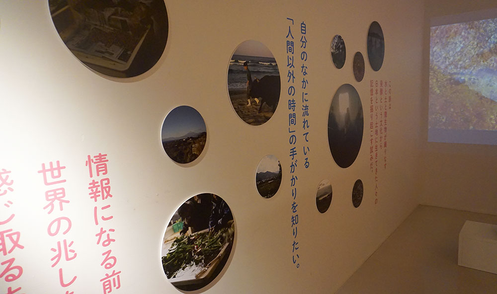 Fermentation Tourism Nippon 小倉ヒラク