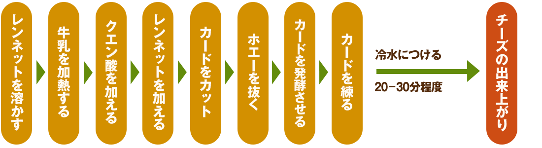 チーズ作りの工程