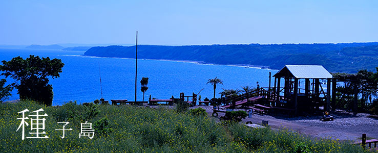 種子島