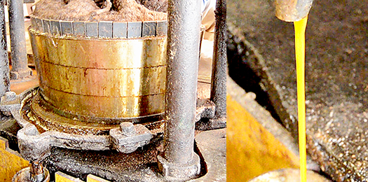 インタビュー 平出油屋