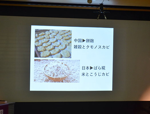 中国と日本の麹の違い